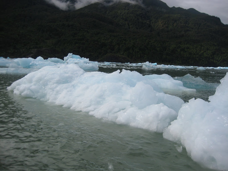 Témpanos de hielo en la Laguna San Rafael