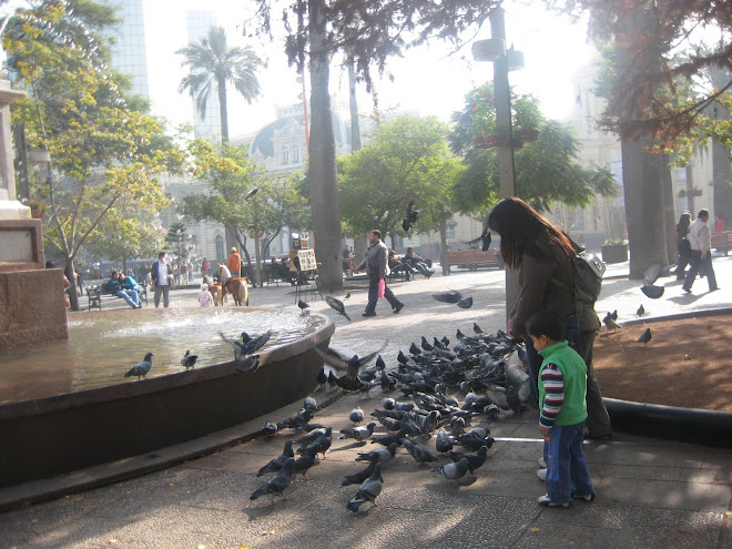 Palomas en la Plaza de Armas