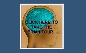 The Brain Tour