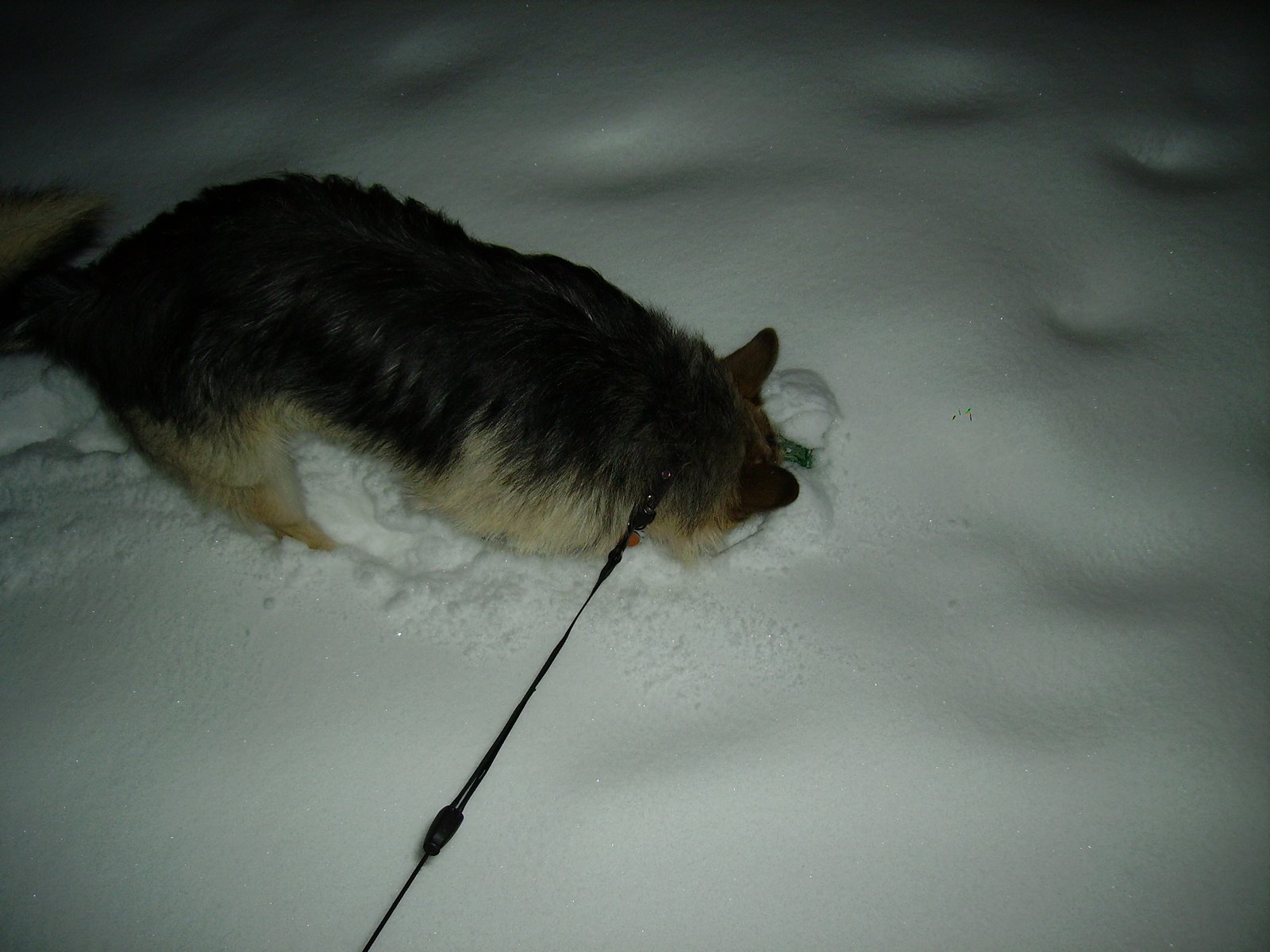 [PICT0403.JPG]