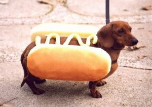 [hot_dog.jpg]