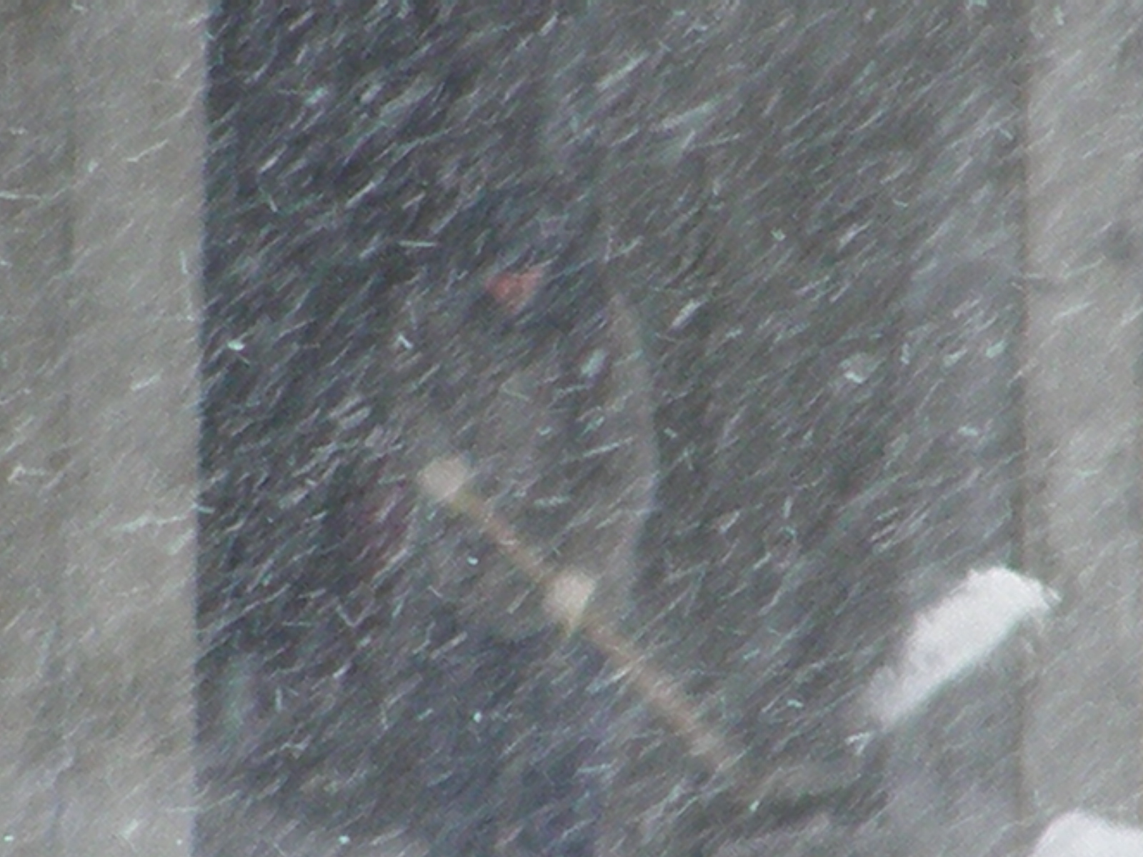 [P2210158+-+Copy.JPG]