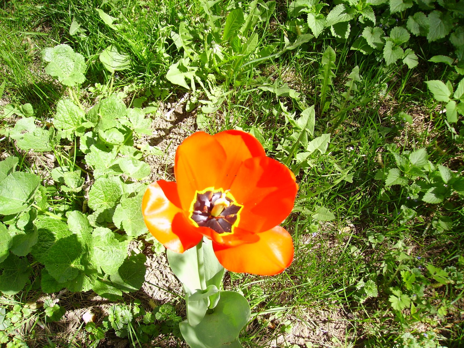 [PICT0583.JPG]