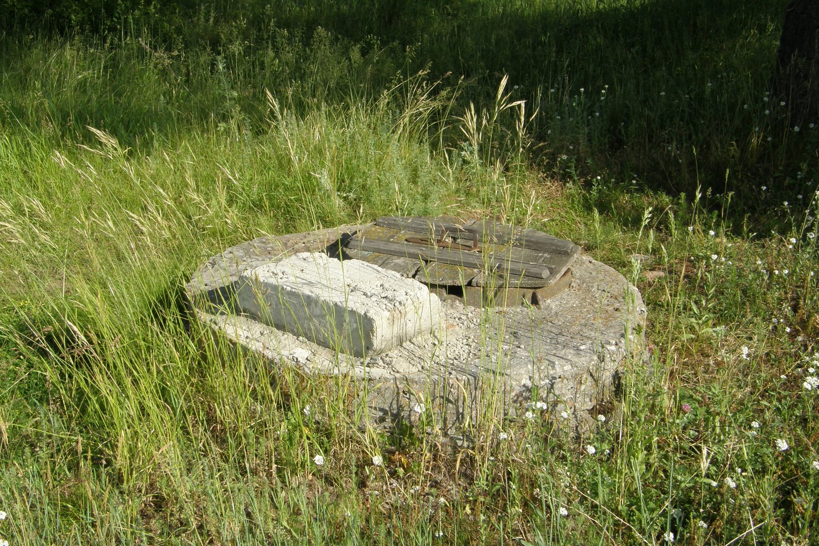 [P6152932.JPG]