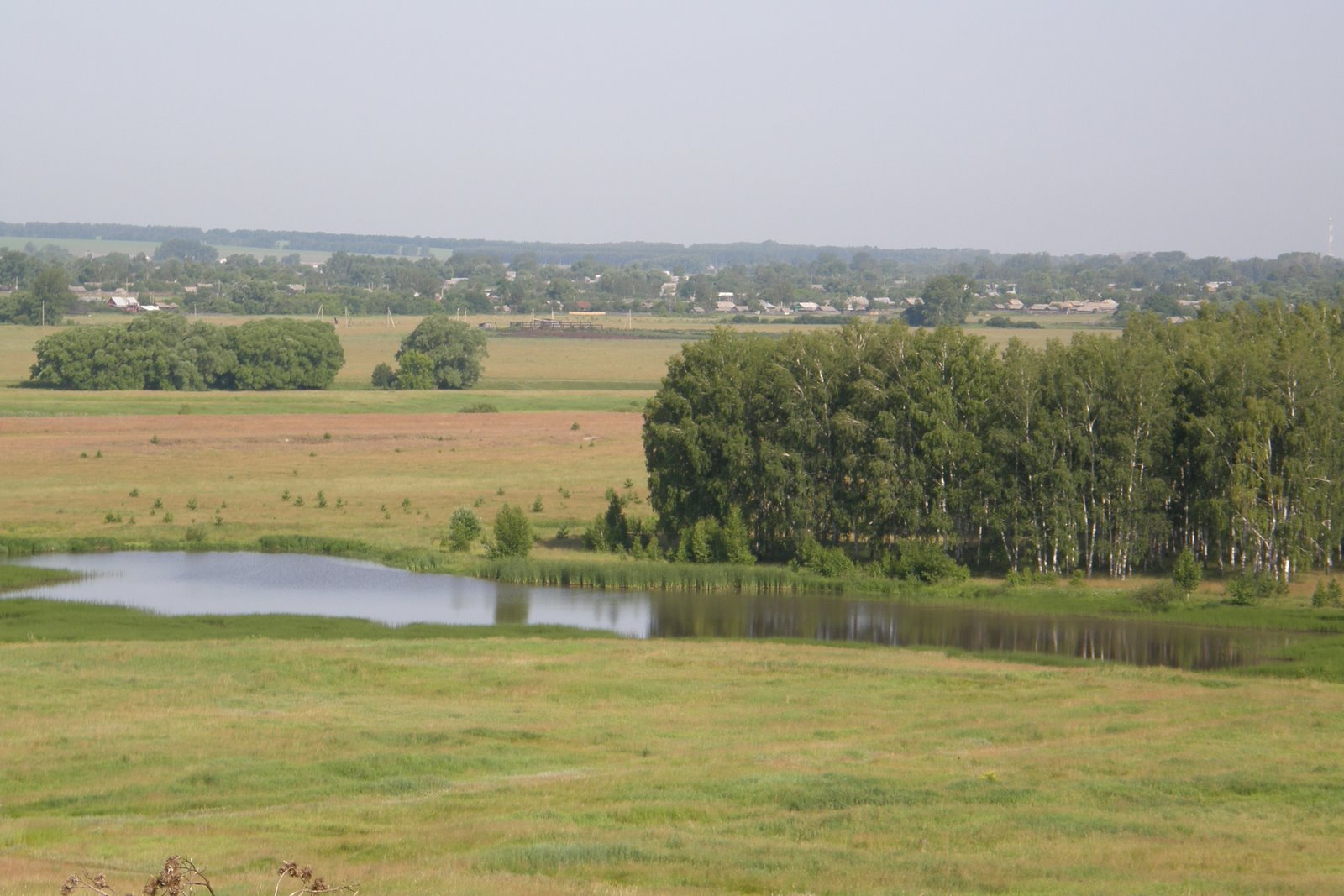 [P6152994.JPG]