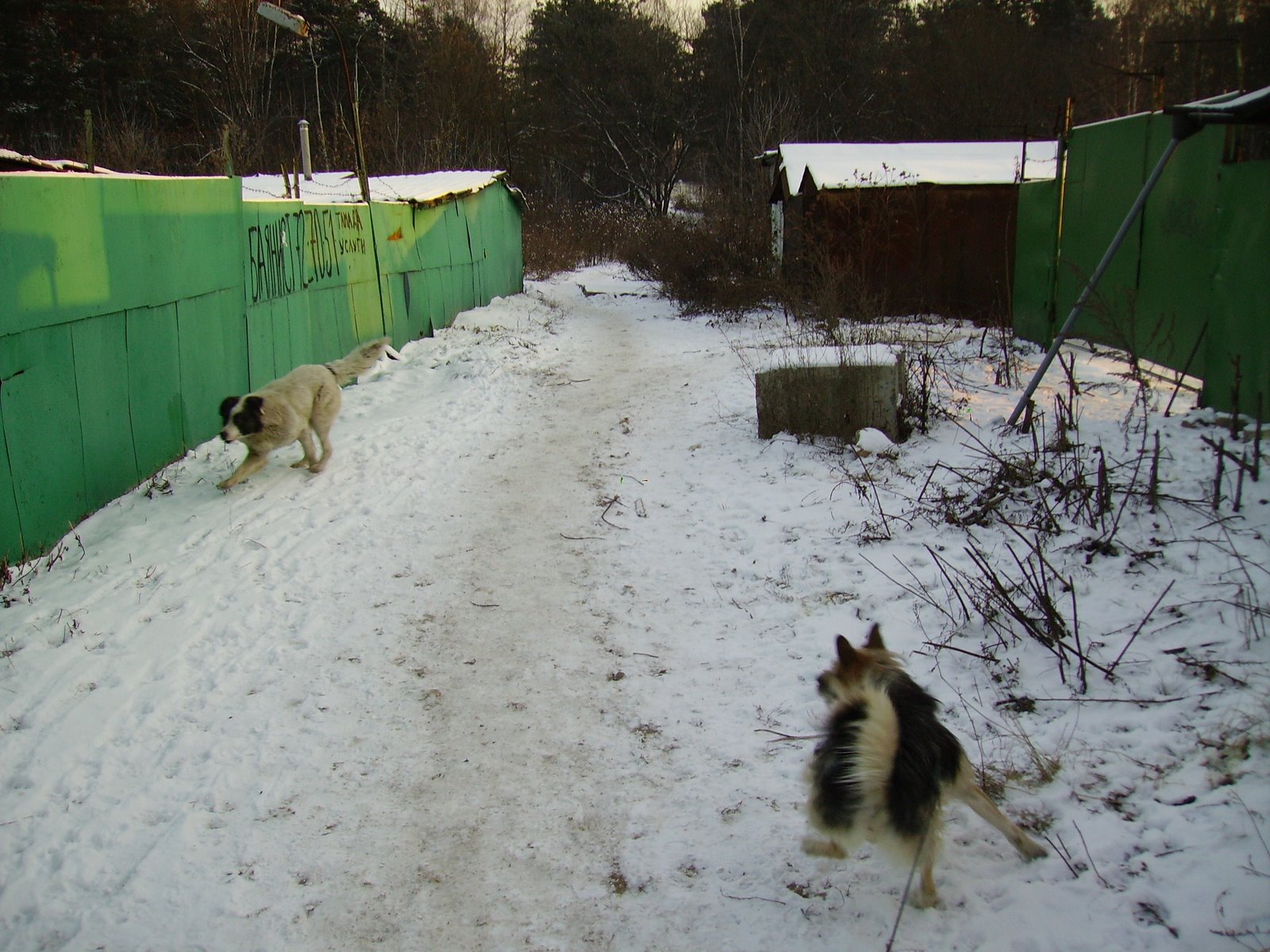 [PICT0759.JPG]