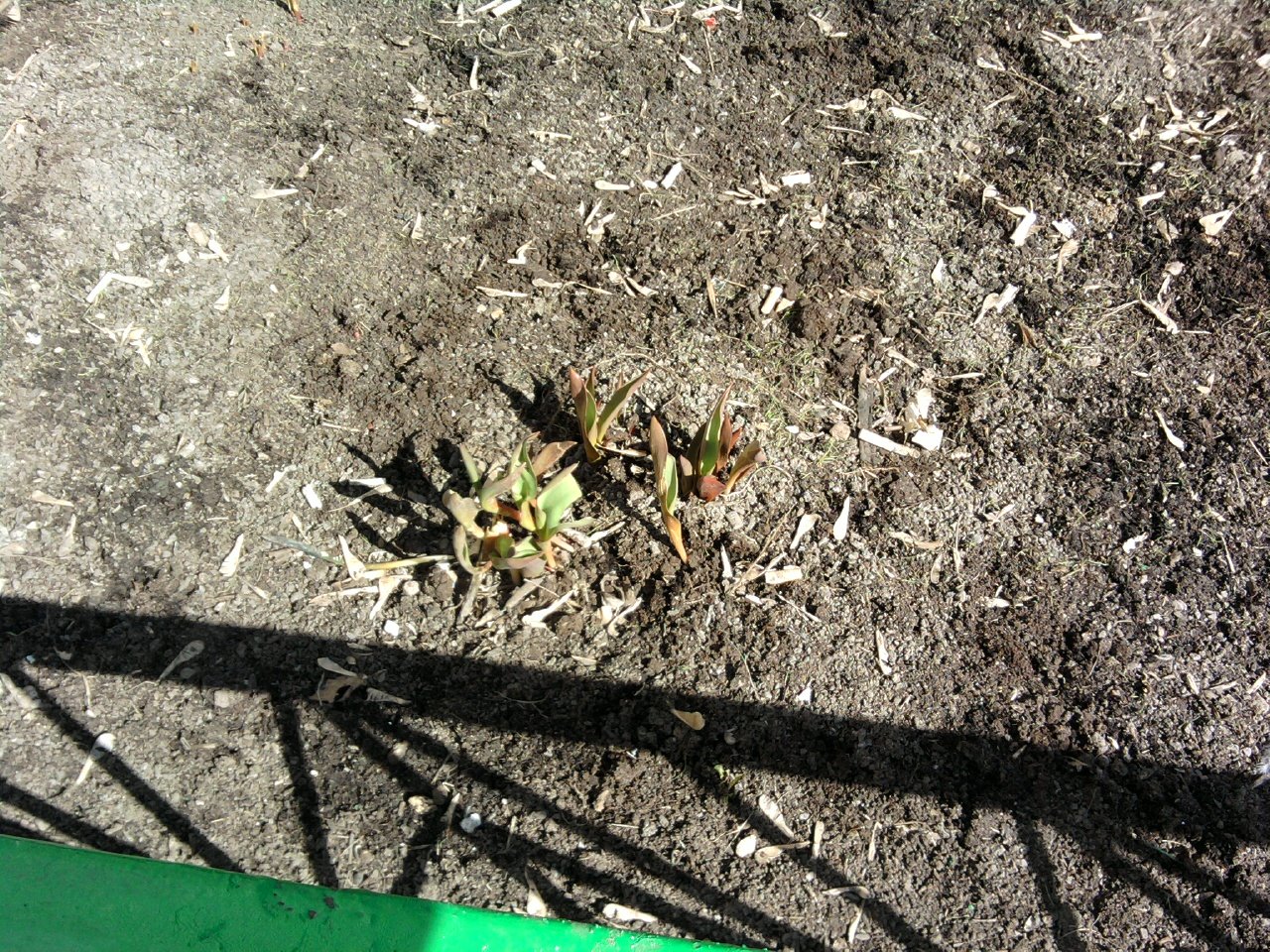 [Photo051.jpg]