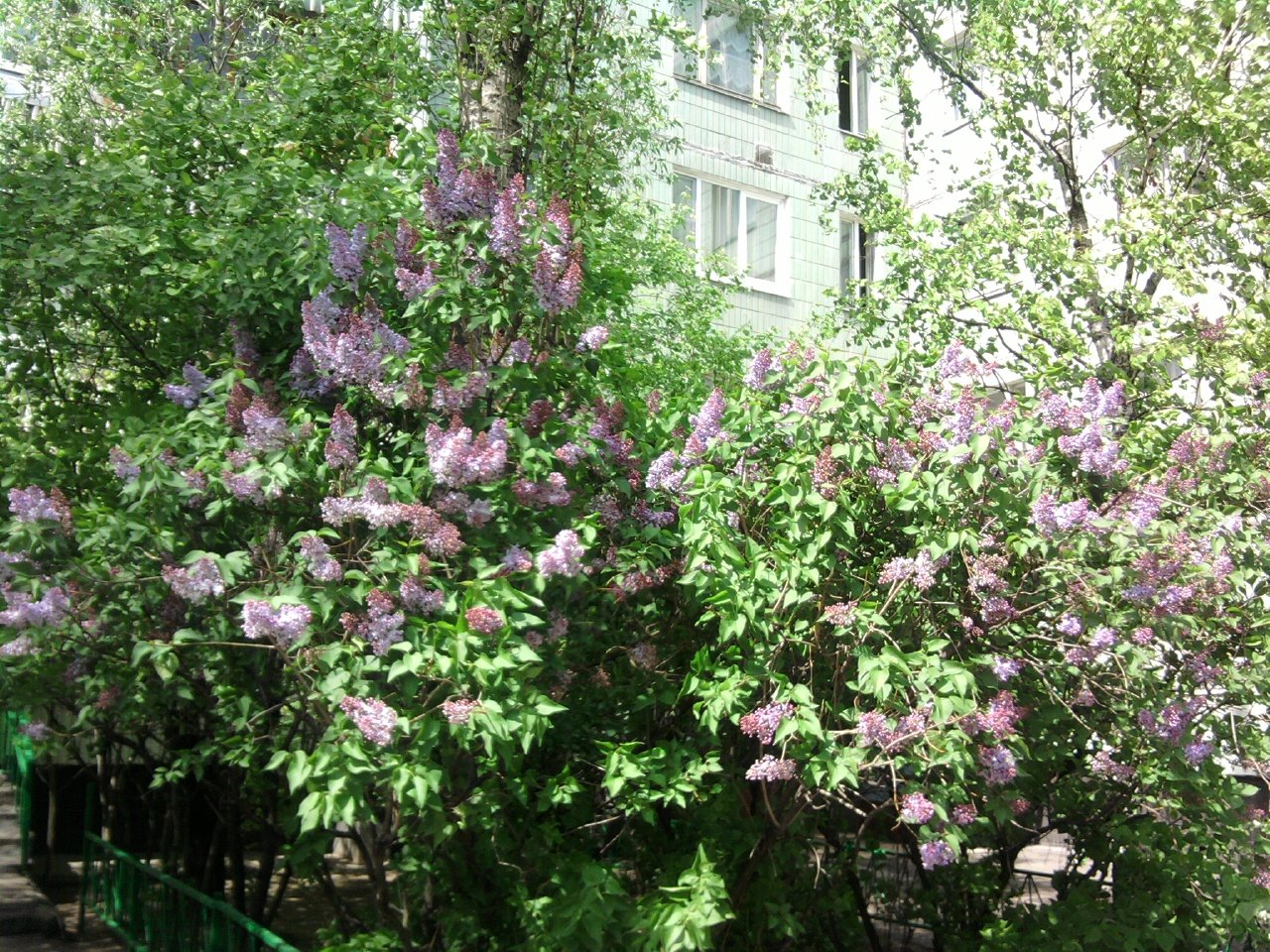 [Photo001.jpg]