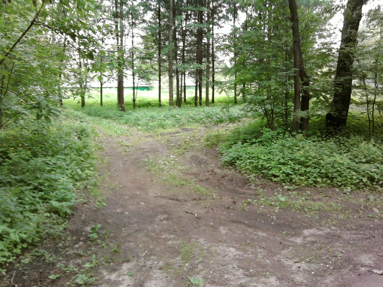 [Photo057.jpg]