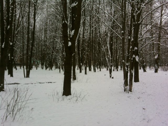 [Photo012.jpg]