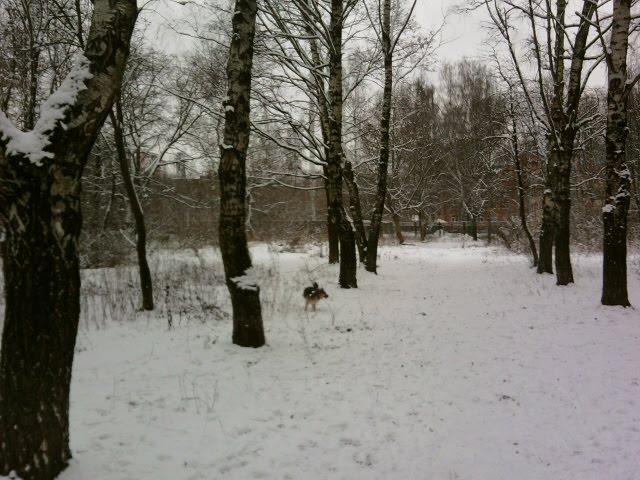 [Photo006.jpg]