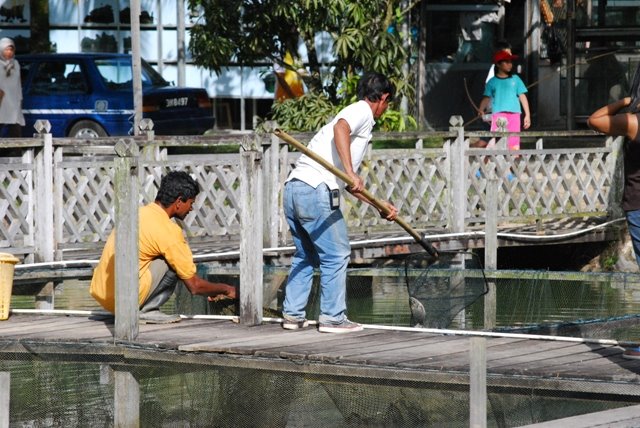 [fishing4.JPG]