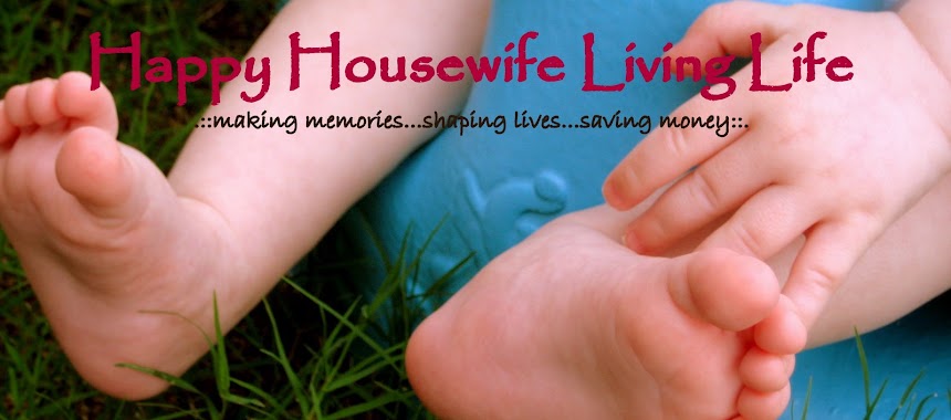 Happy Housewife Living Life