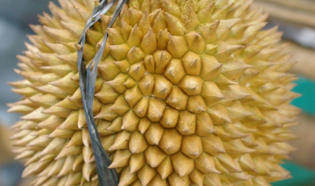 Ems Kitchen Davao Fruits