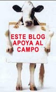 Si al campo