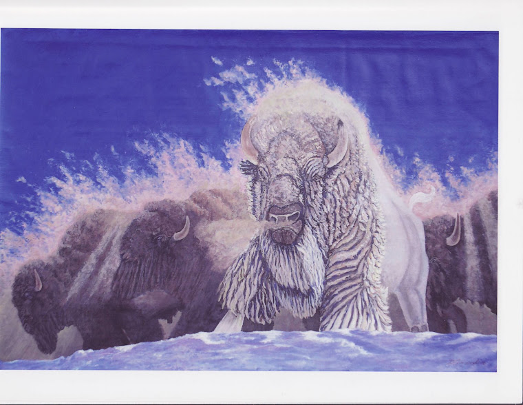 "The White Buffalo"  18'x24"  Sept. 06
