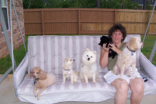 DOREEN & POOCHES