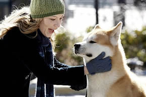 "Watch Hachiko: A Dog's Story" Hachiko+1