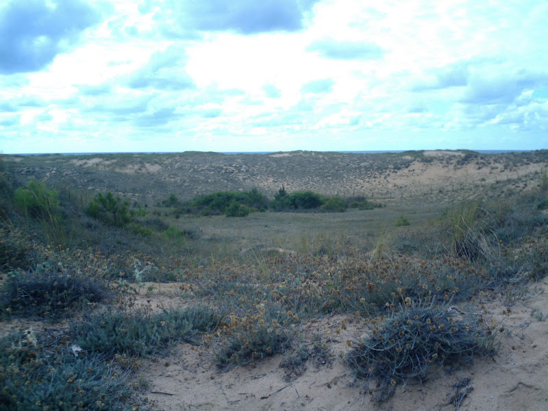 Dunas de Liencres Dunas de Liencres