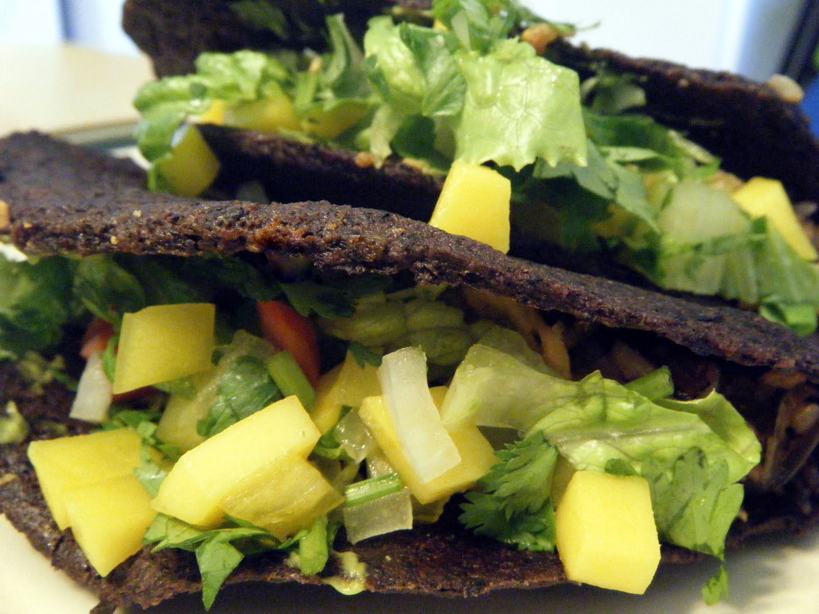 The Celiac Vegan GLUTENFREE CORNFREE TACO SHELLS