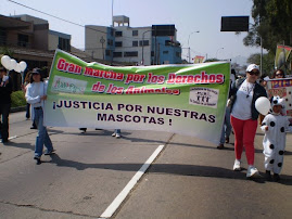 PROTESTA EN SAN BORJA POR GRINGO