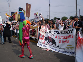 DOMINGO 6 DIC. PROTESTA EN ACHO