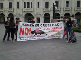 DOMINGO 28 NOV. PROTESTA EN ACHO