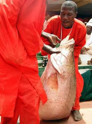 Fishing Festival in Nigeria