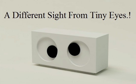 A Different Sight From Tiny Eyes.!