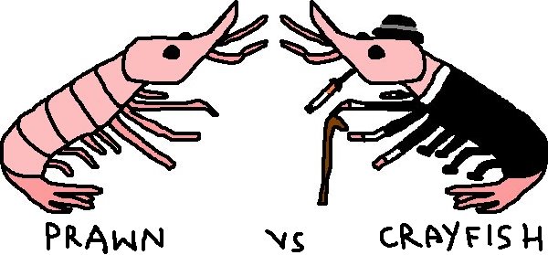 Prawn vs Crayfish