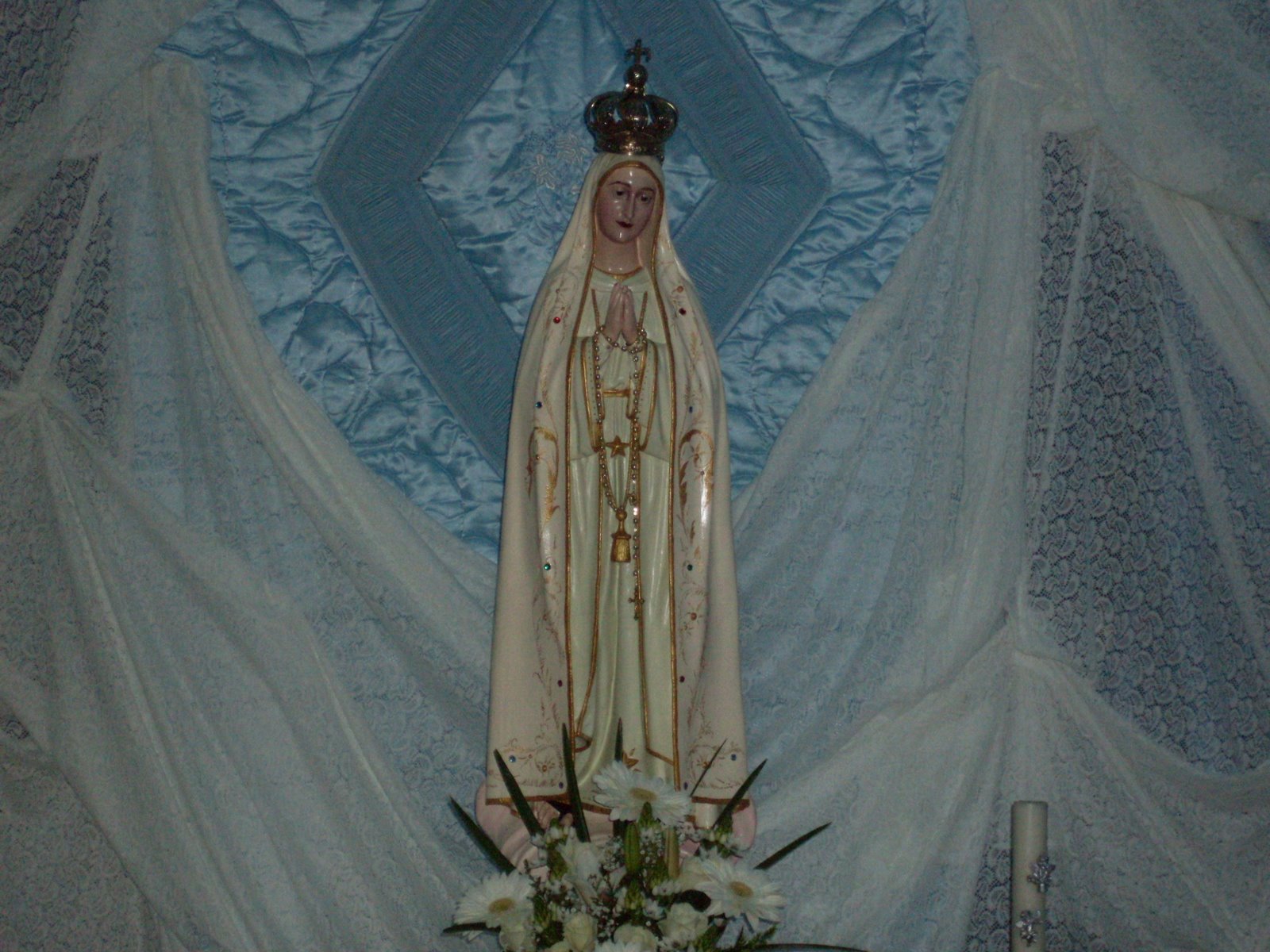 [SDC11117.JPG]