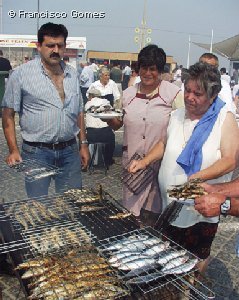 [SARDINHADA.bmp]