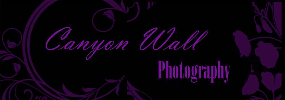 Canyon Wall Photography