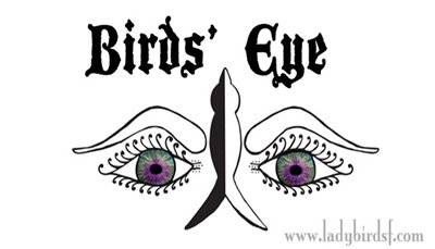 Bird's Eye: The World through the Eyes of Lady Bird SF