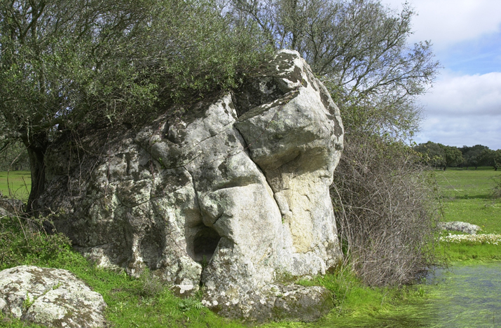 [DSC_0044.jpg]