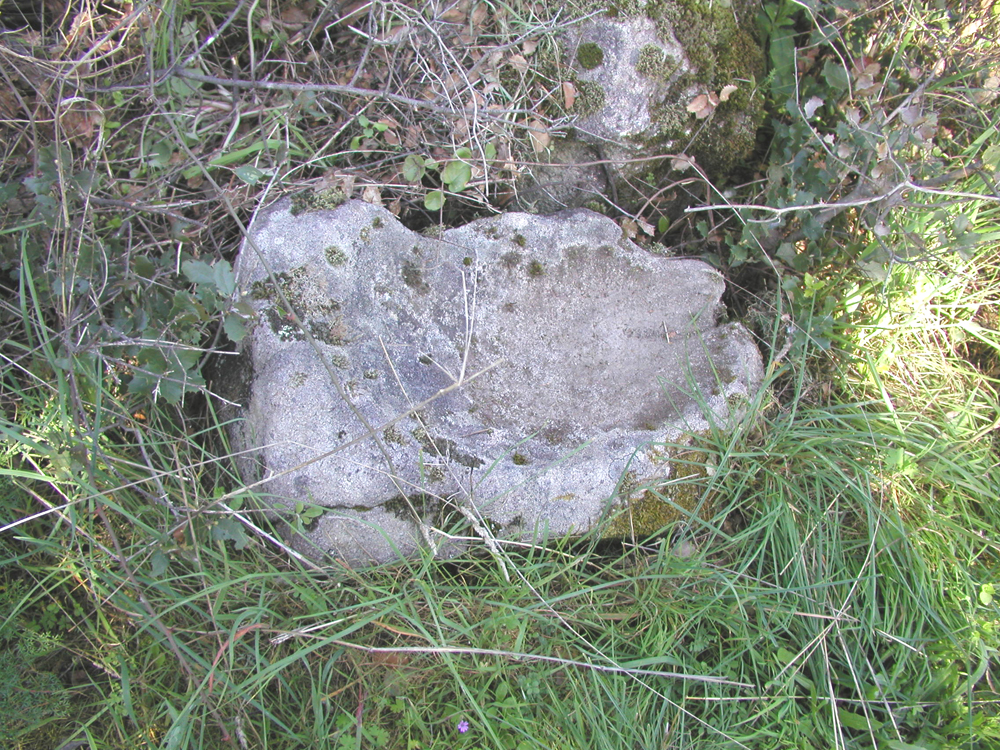 [P1010030.jpg]