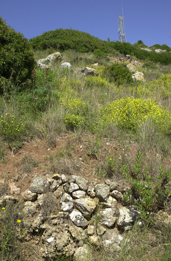 [DSC_0048.jpg]