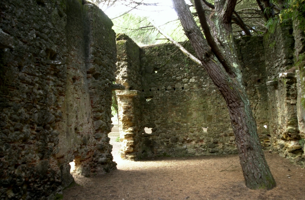 [DSC_0020.jpg]