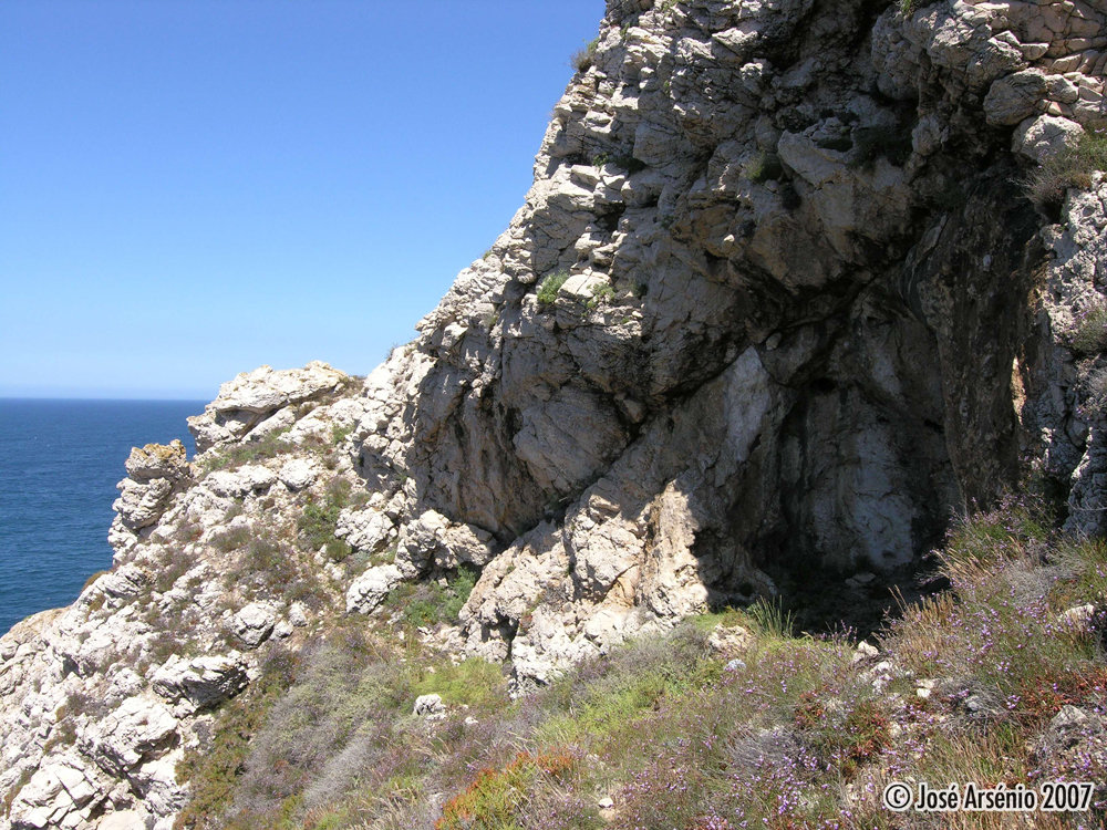 [DSCN5054.jpg]