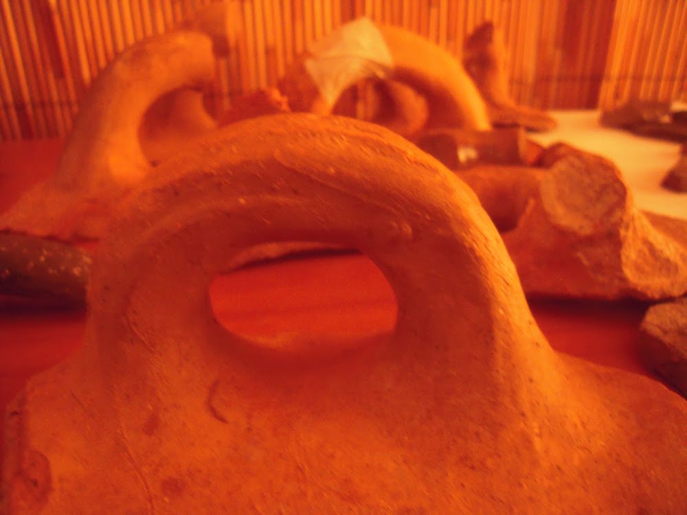[DSCN2606.jpg]