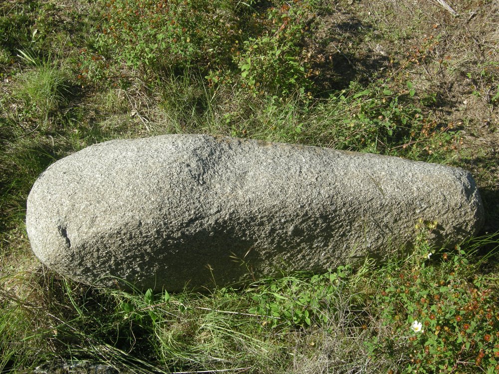 [RMZ+Abril+2009+067.jpg]