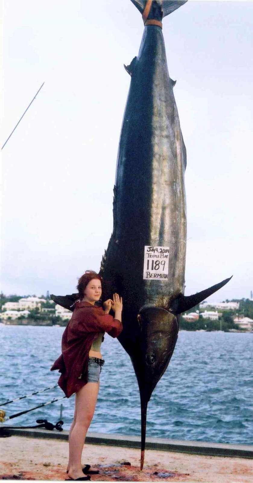 http://3.bp.blogspot.com/_TSvly6B1EI0/R1OQhfHIsKI/AAAAAAAAAbg/C7aAt1duLwQ/s1600-R/marlin_enorme.jpg