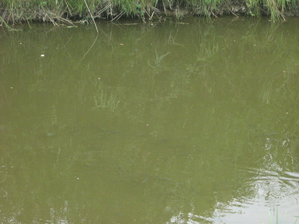 [savio+siccità+2007+14.jpg]