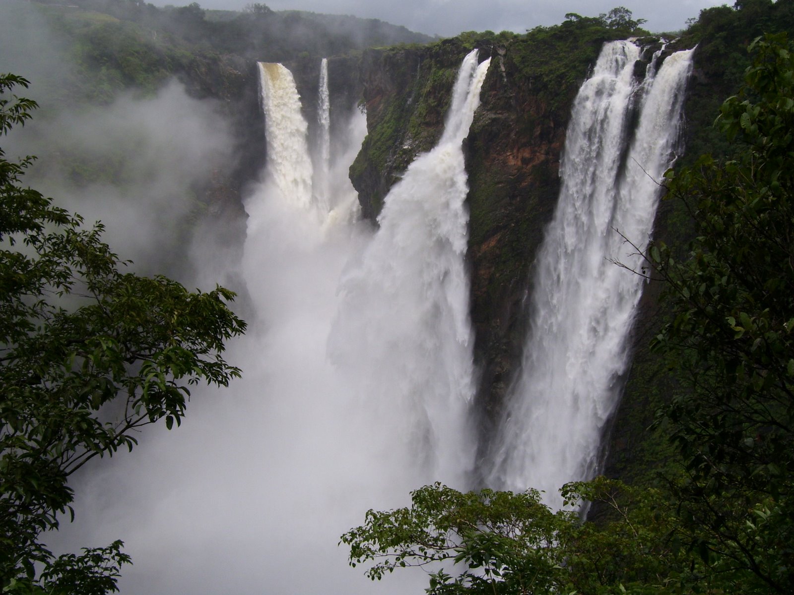 Jog Falls Images