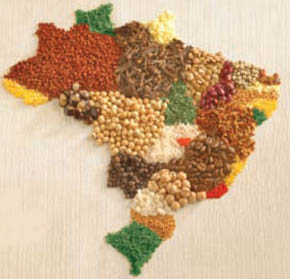 [Brasil+figura09.jpg]