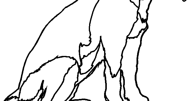 Animate Animate