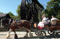 ANTIQUES ROADSHOW will be