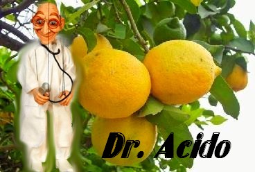 El Doctor Acido
