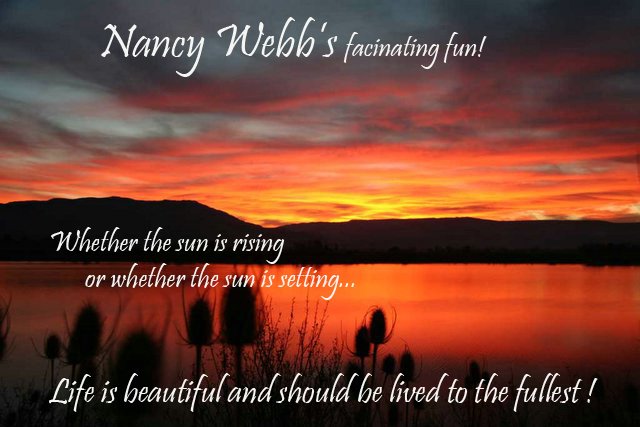 nancy webb