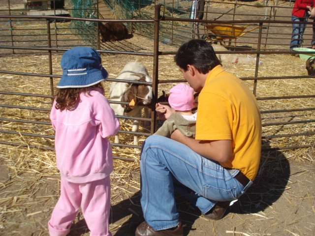 [DSC02600.JPG]